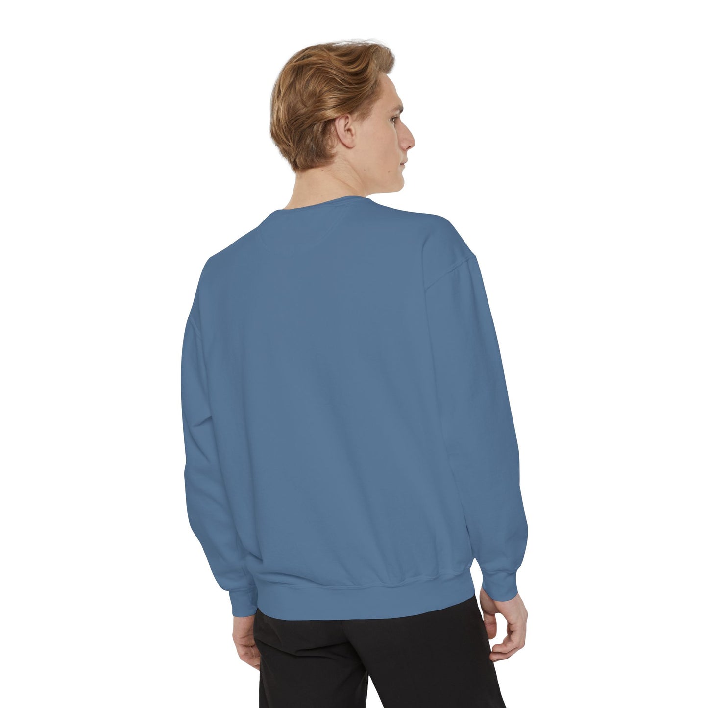 absolutely dialed - crew neck sweater