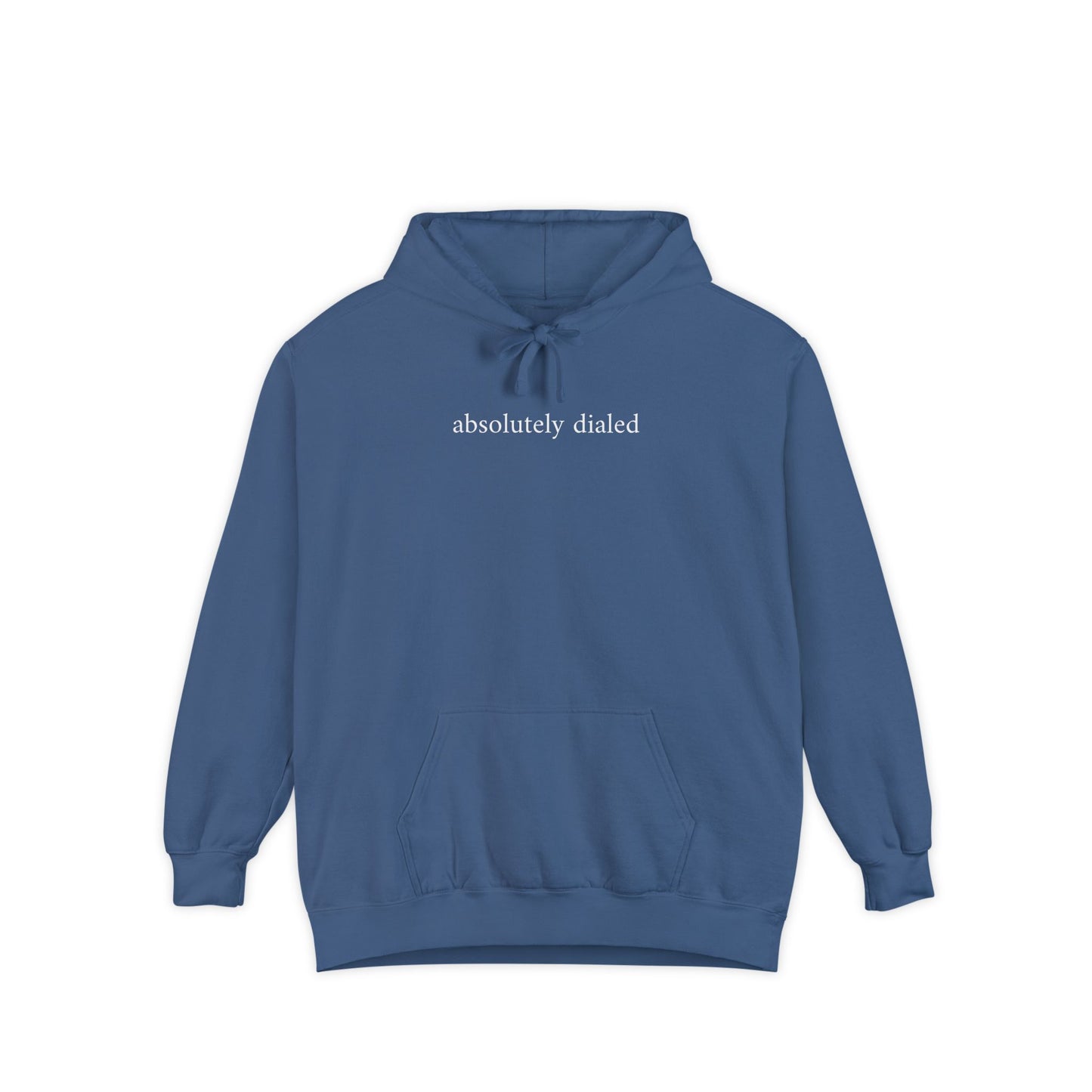 absolutely dialed hoodie