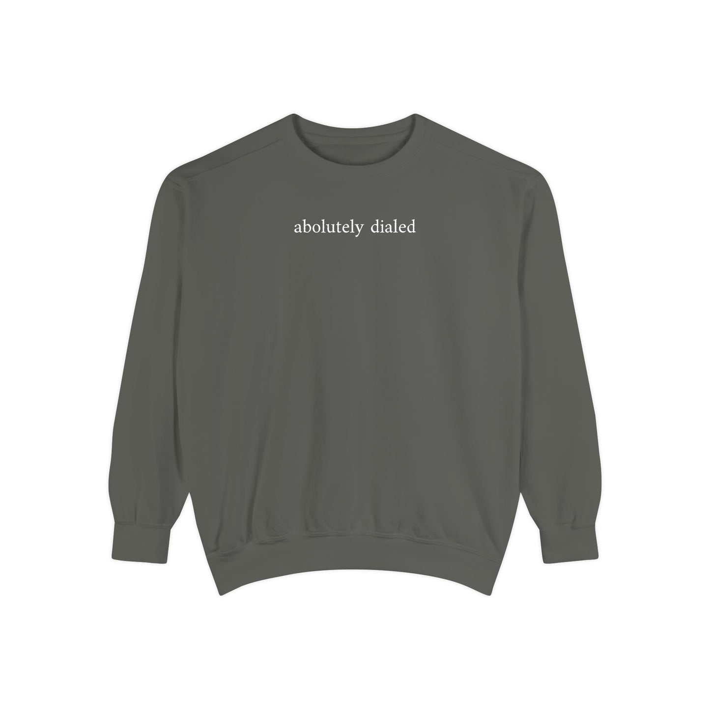 absolutely dialed - crew neck sweater