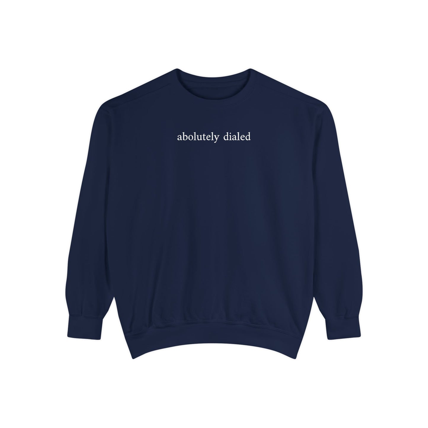 absolutely dialed - crew neck sweater